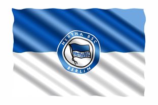 柏林联队客场战胜，继续保持不败纪录，柏林联合对  第3张